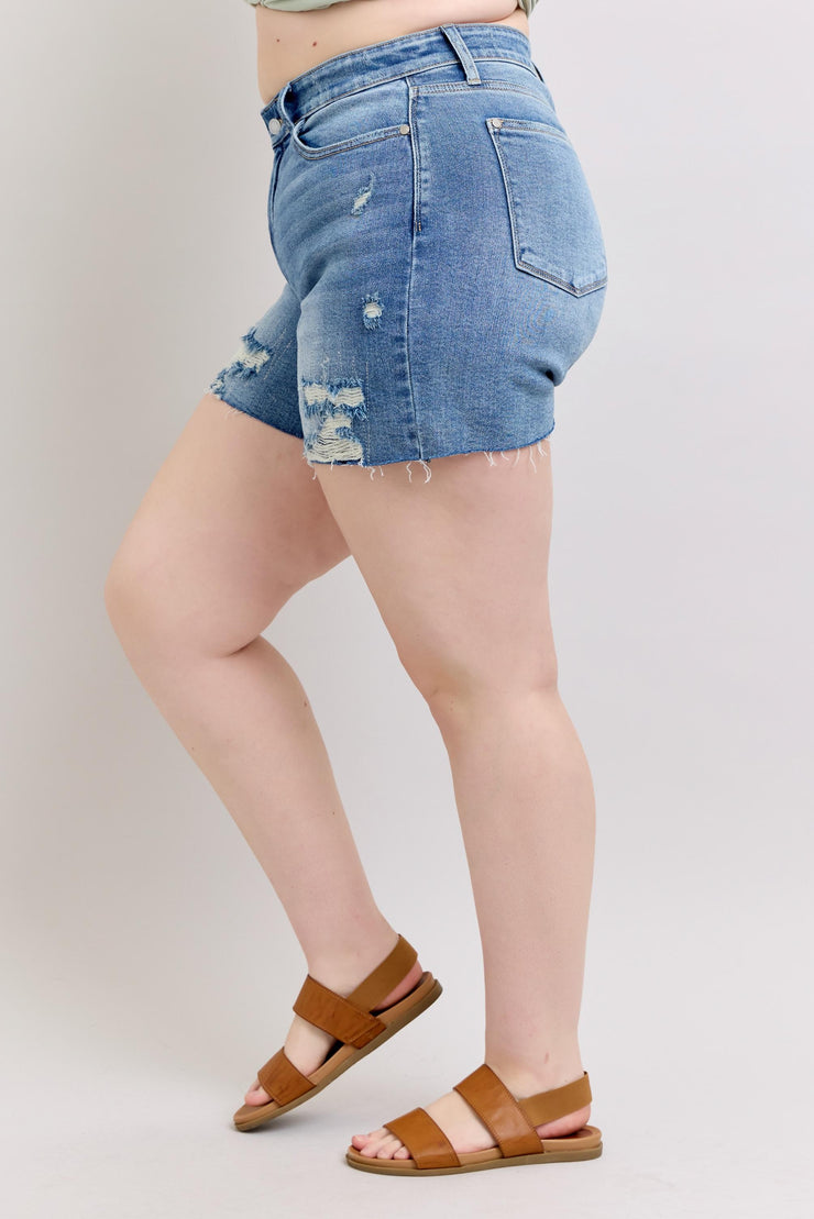 Analeigh High Waist Distressed Shorts