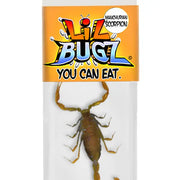 Edible Bug Snacks