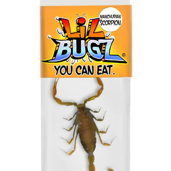 Edible Bug Snacks