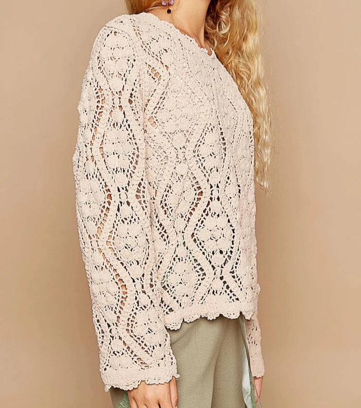 Promise of Tomorrow Crochet Sweater