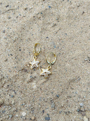 Starfish Wishes Earrings