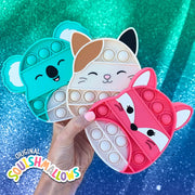 Mystery Pop Fidgety Squishmallows