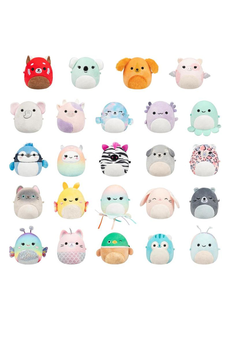 Squishmallows 2.5" Mystery Micromallow Plush